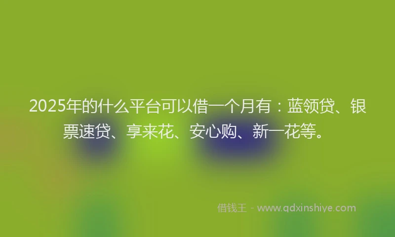 2025年的什么平台可以借一个月有：蓝领贷、银票速贷、享来花、安心购、新一花等。