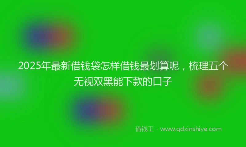 2025年最新借钱袋怎样借钱最划算呢，梳理五个无视双黑能下款的口子