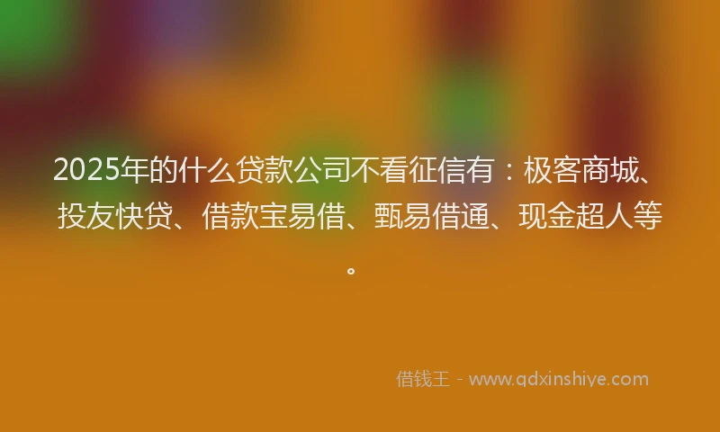 2025年的什么贷款公司不看征信有：极客商城、投友快贷、借款宝易借、甄易借通、现金超人等。