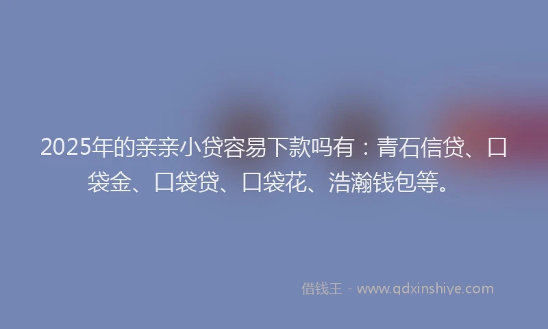 2025年的亲亲小贷容易下款吗有：青石信贷、口袋金、口袋贷、口袋花、浩瀚钱包等。