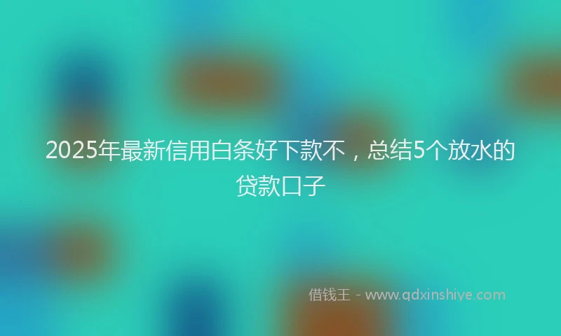 2025年最新信用白条好下款不，总结5个放水的贷款口子