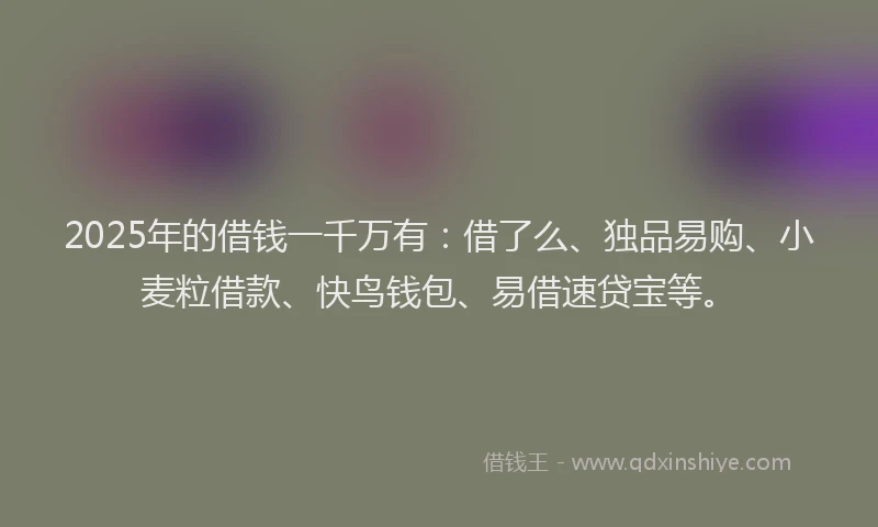 2025年的借钱一千万有：借了么、独品易购、小麦粒借款、快鸟钱包、易借速贷宝等。