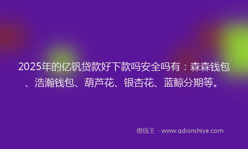2025年的亿钒贷款好下款吗安全吗有：森森钱包、浩瀚钱包、葫芦花、银杏花、蓝鲸分期等。