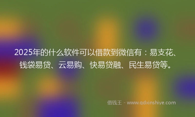 2025年的什么软件可以借款到微信有：易支花、钱袋易贷、云易购、快易贷融、民生易贷等。