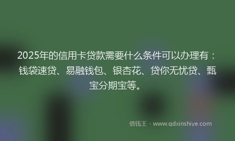 2025年的信用卡贷款需要什么条件可以办理有：钱袋速贷、易融钱包、银杏花、贷你无忧贷、甄宝分期宝等。