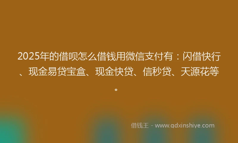 2025年的借呗怎么借钱用微信支付有：闪借快行、现金易贷宝盒、现金快贷、信秒贷、天源花等。
