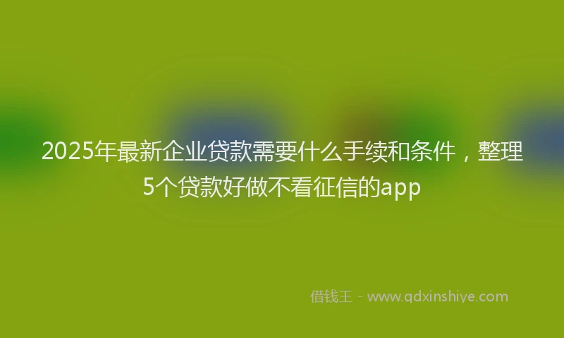 2025年最新企业贷款需要什么手续和条件，整理5个贷款好做不看征信的app