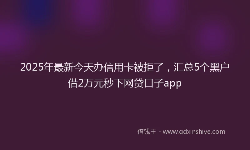 2025年最新今天办信用卡被拒了，汇总5个黑户借2万元秒下网贷口子app