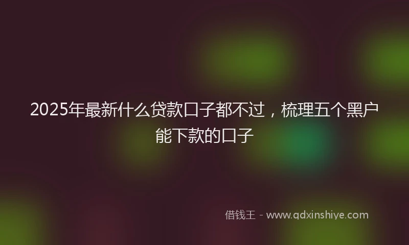 2025年最新什么贷款口子都不过，梳理五个黑户能下款的口子