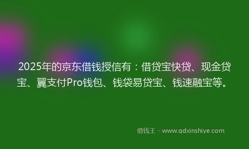 2025年的京东借钱授信有：借贷宝快贷、现金贷宝、翼支付Pro钱包、钱袋易贷宝、钱速融宝等。