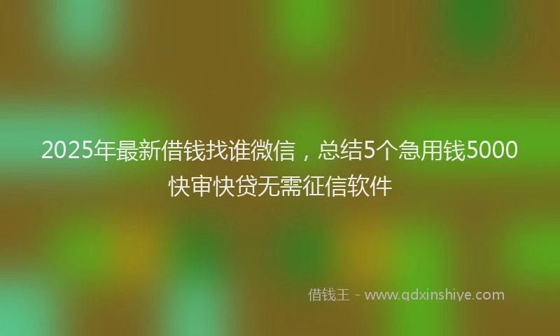 2025年最新借钱找谁微信，总结5个急用钱5000快审快贷无需征信软件