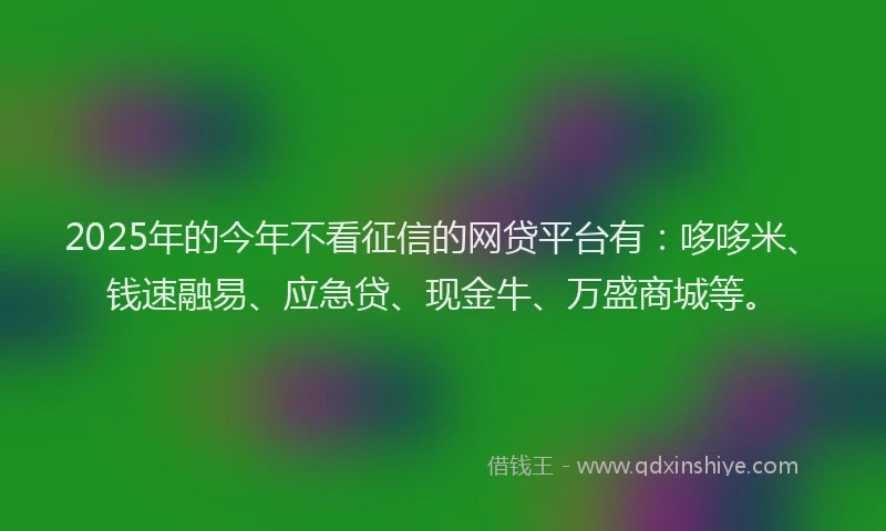 2025年的今年不看征信的网贷平台有：哆哆米、钱速融易、应急贷、现金牛、万盛商城等。
