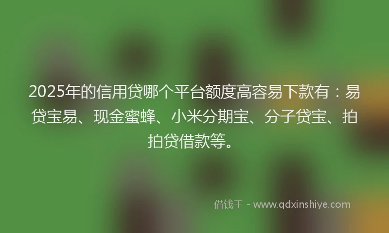 2025年的信用贷哪个平台额度高容易下款有：易贷宝易、现金蜜蜂、小米分期宝、分子贷宝、拍拍贷借款等。