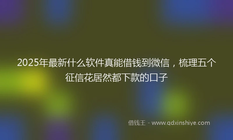 2025年最新什么软件真能借钱到微信，梳理五个征信花居然都下款的口子