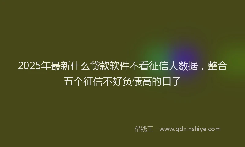 2025年最新什么贷款软件不看征信大数据，整合五个征信不好负债高的口子
