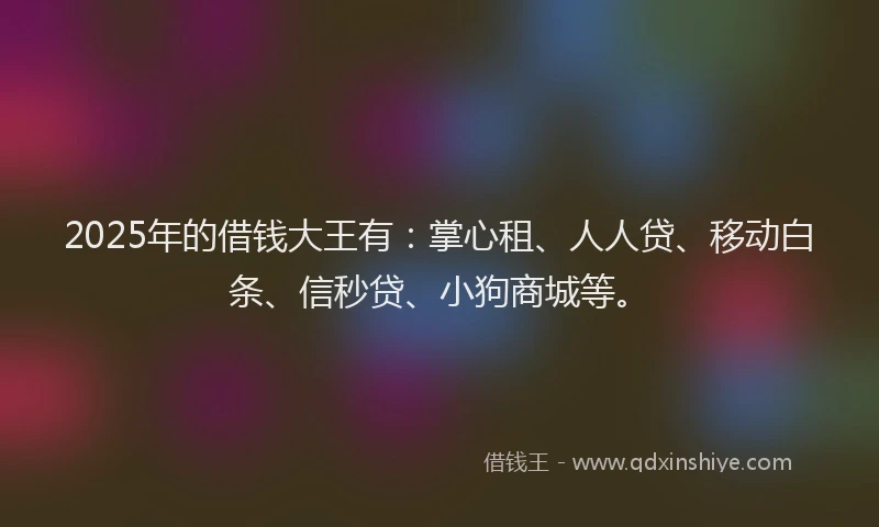 2025年的借钱大王有：掌心租、人人贷、移动白条、信秒贷、小狗商城等。