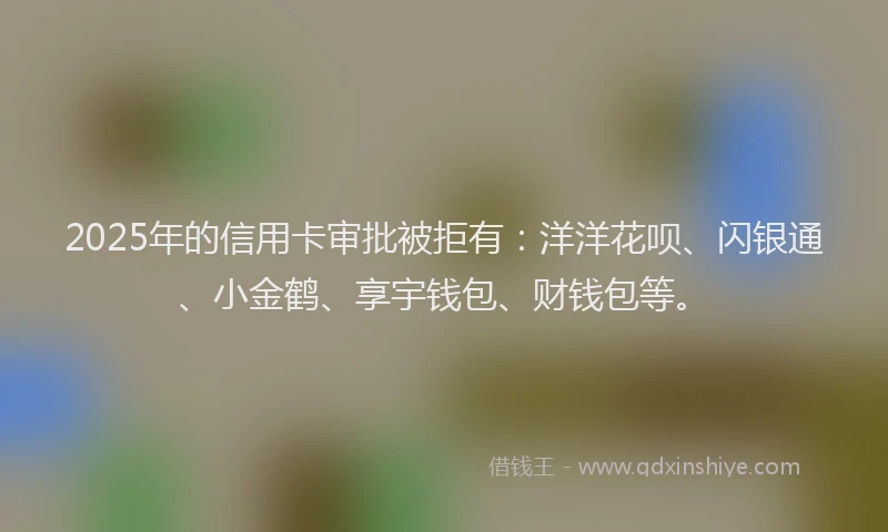 2025年的信用卡审批被拒有：洋洋花呗、闪银通、小金鹤、享宇钱包、财钱包等。