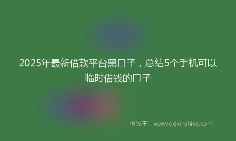 2025年最新借款平台黑口子，总结5个手机可以临时借钱的口子