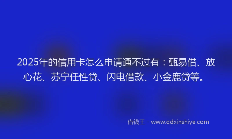 2025年的信用卡怎么申请通不过有：甄易借、放心花、苏宁任性贷、闪电借款、小金鹿贷等。