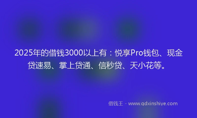 2025年的借钱3000以上有：悦享Pro钱包、现金贷速易、掌上贷通、信秒贷、天小花等。