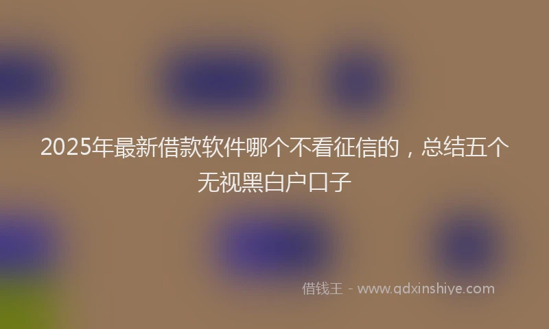2025年最新借款软件哪个不看征信的，总结五个无视黑白户口子
