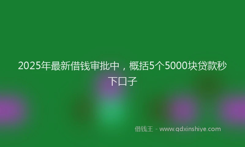 2025年最新借钱审批中，概括5个5000块贷款秒下口子
