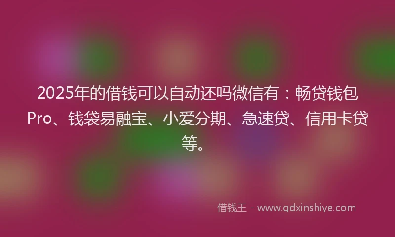 2025年的借钱可以自动还吗微信有：畅贷钱包Pro、钱袋易融宝、小爱分期、急速贷、信用卡贷等。