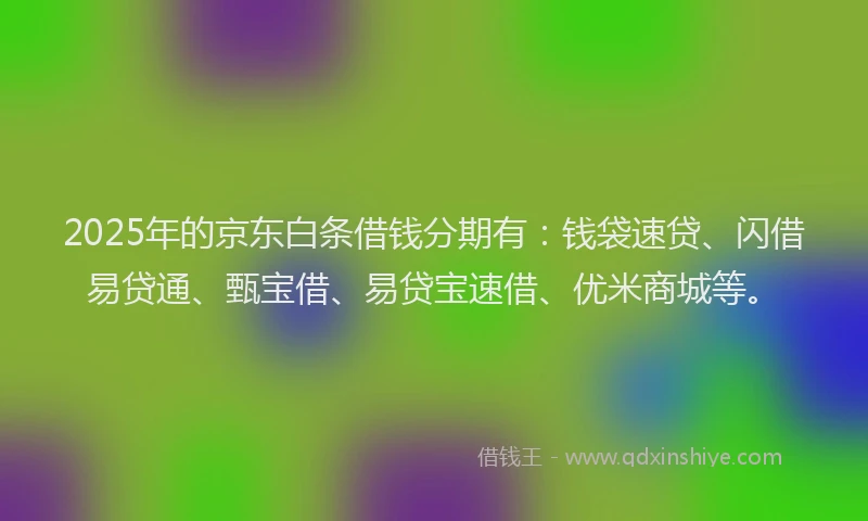 2025年的京东白条借钱分期有：钱袋速贷、闪借易贷通、甄宝借、易贷宝速借、优米商城等。