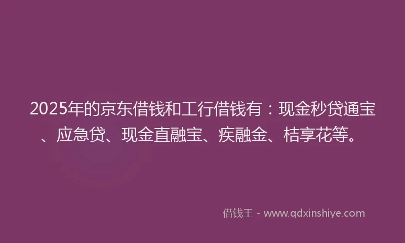 2025年的京东借钱和工行借钱有：现金秒贷通宝、应急贷、现金直融宝、疾融金、桔享花等。