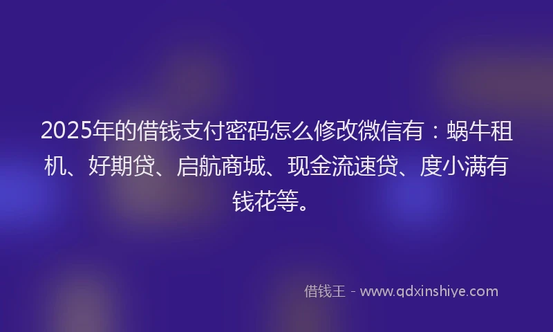 2025年的借钱支付密码怎么修改微信有：蜗牛租机、好期贷、启航商城、现金流速贷、度小满有钱花等。