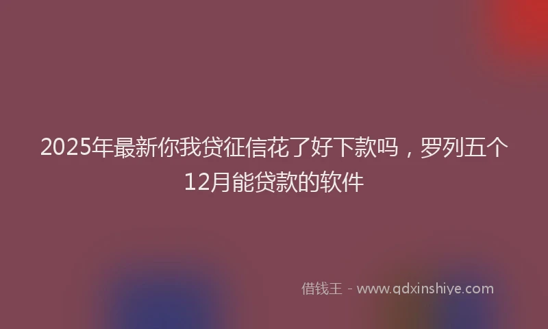 2025年最新你我贷征信花了好下款吗，罗列五个12月能贷款的软件