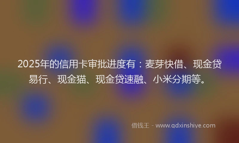 2025年的信用卡审批进度有：麦芽快借、现金贷易行、现金猫、现金贷速融、小米分期等。
