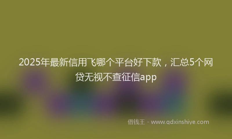 2025年最新信用飞哪个平台好下款，汇总5个网贷无视不查征信app