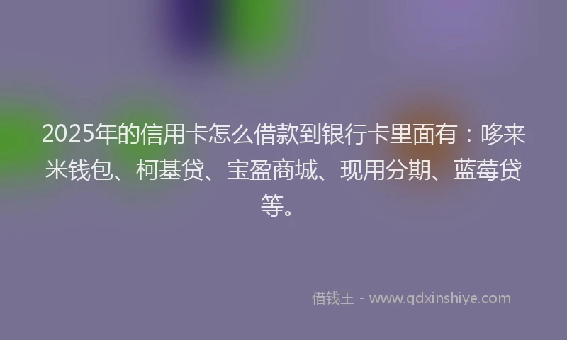 2025年的信用卡怎么借款到银行卡里面有：哆来米钱包、柯基贷、宝盈商城、现用分期、蓝莓贷等。
