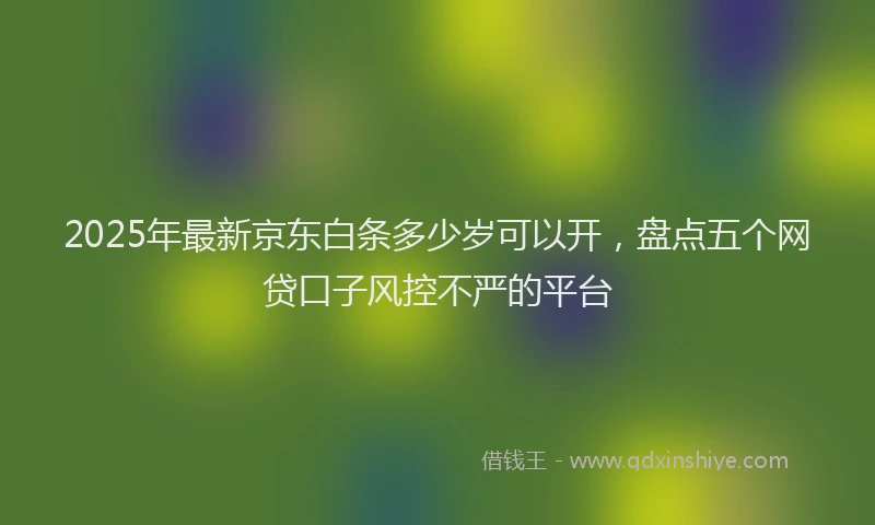 2025年最新京东白条多少岁可以开，盘点五个网贷口子风控不严的平台
