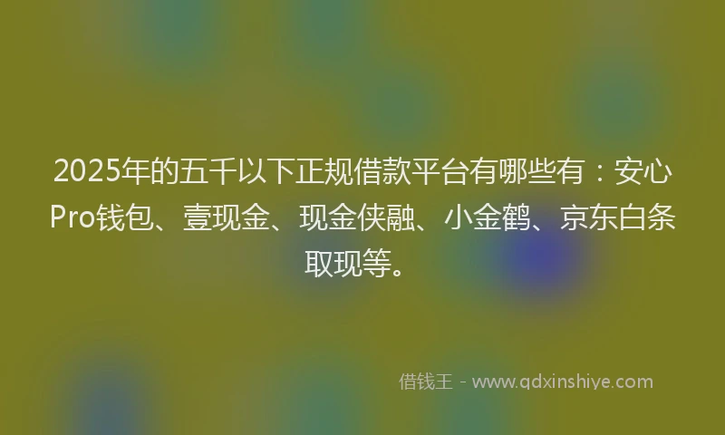 2025年的五千以下正规借款平台有哪些有：安心Pro钱包、壹现金、现金侠融、小金鹤、京东白条取现等。