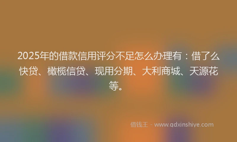 2025年的借款信用评分不足怎么办理有：借了么快贷、橄榄信贷、现用分期、大利商城、天源花等。