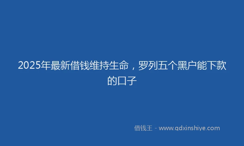 2025年最新借钱维持生命，罗列五个黑户能下款的口子