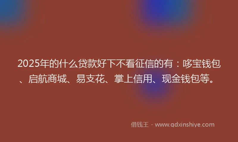 2025年的什么贷款好下不看征信的有：哆宝钱包、启航商城、易支花、掌上信用、现金钱包等。