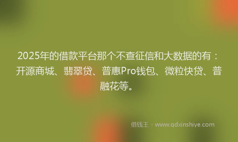 2025年的借款平台那个不查征信和大数据的有：开源商城、翡翠贷、普惠Pro钱包、微粒快贷、普融花等。