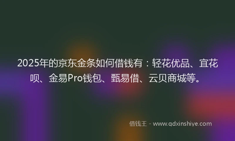 2025年的京东金条如何借钱有：轻花优品、宜花呗、金易Pro钱包、甄易借、云贝商城等。
