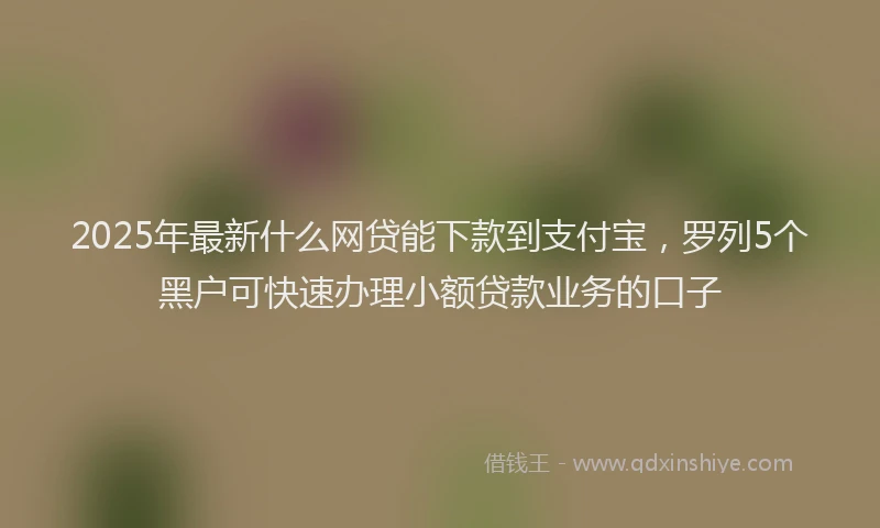 2025年最新什么网贷能下款到支付宝，罗列5个黑户可快速办理小额贷款业务的口子