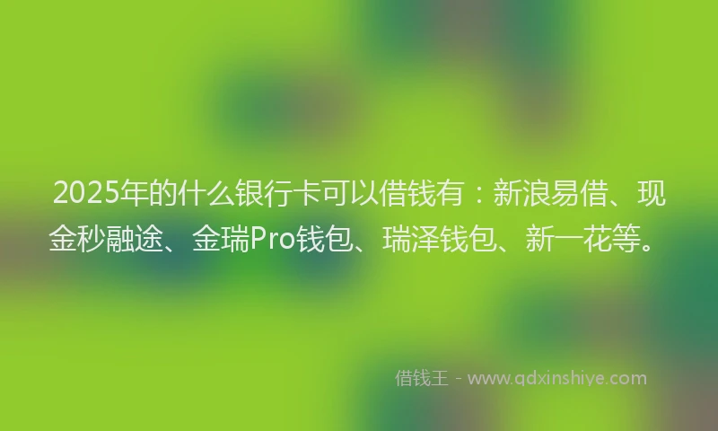 2025年的什么银行卡可以借钱有：新浪易借、现金秒融途、金瑞Pro钱包、瑞泽钱包、新一花等。