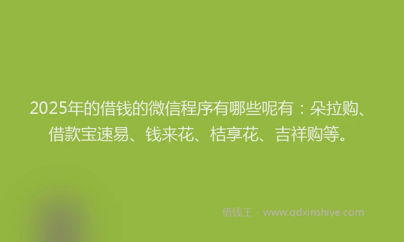 2025年的借钱的微信程序有哪些呢有：朵拉购、借款宝速易、钱来花、桔享花、吉祥购等。