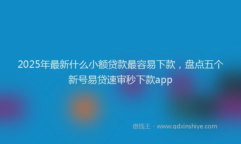 2025年最新什么小额贷款最容易下款，盘点五个新号易贷速审秒下款app