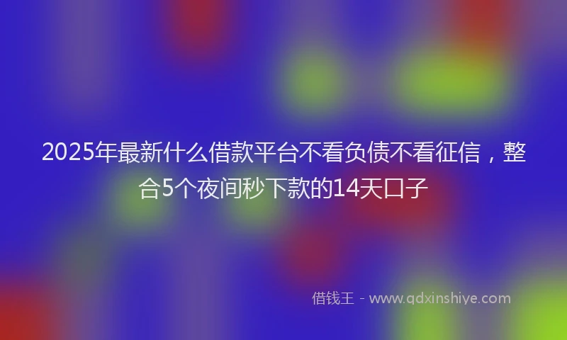 2025年最新什么借款平台不看负债不看征信，整合5个夜间秒下款的14天口子