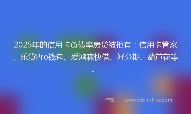 2025年的信用卡负债率房贷被拒有：信用卡管家、乐贷Pro钱包、爱鸿森快借、好分期、葫芦花等。