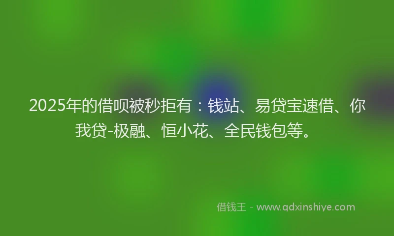2025年的借呗被秒拒有：钱站、易贷宝速借、你我贷-极融、恒小花、全民钱包等。