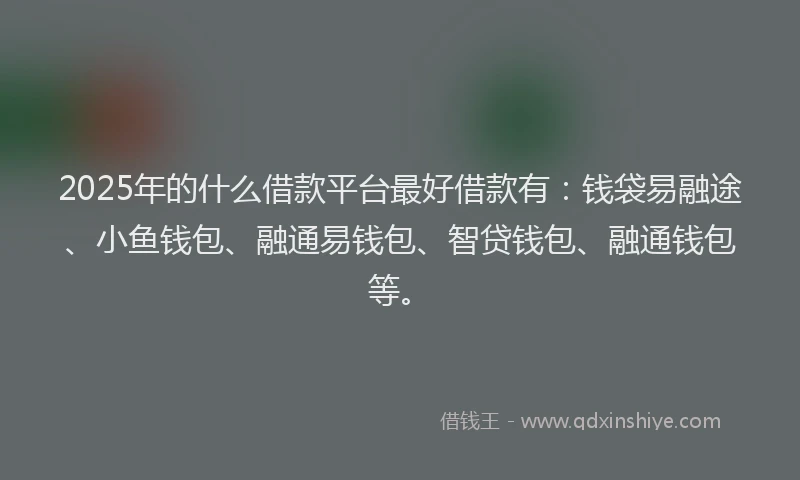 2025年的什么借款平台最好借款有：钱袋易融途、小鱼钱包、融通易钱包、智贷钱包、融通钱包等。