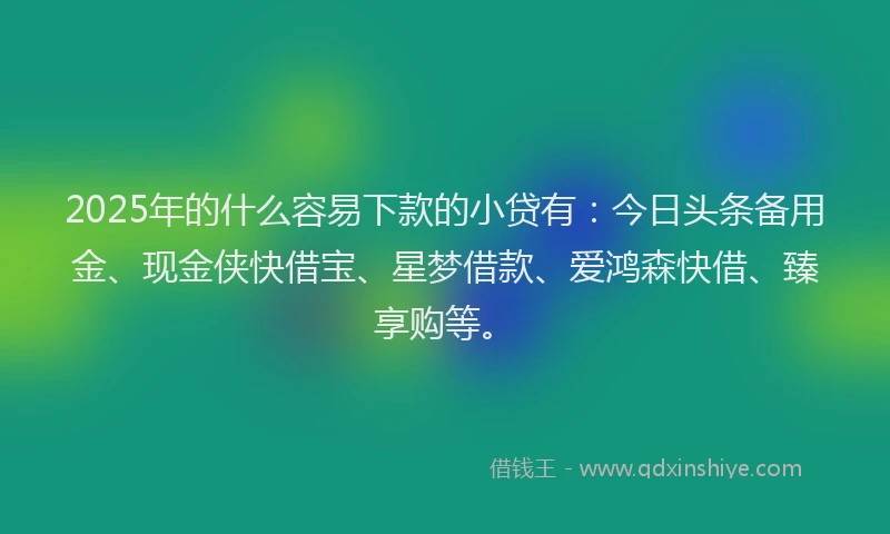 2025年的什么容易下款的小贷有：今日头条备用金、现金侠快借宝、星梦借款、爱鸿森快借、臻享购等。